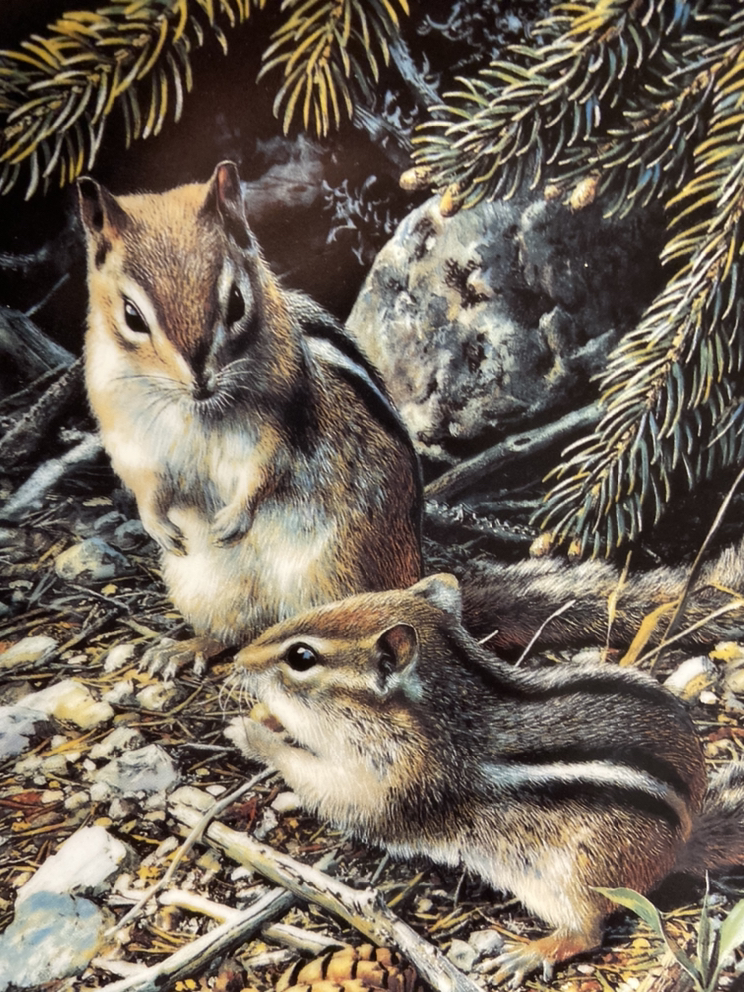 Woodland Series - "Beneath the Pines" - photo 3