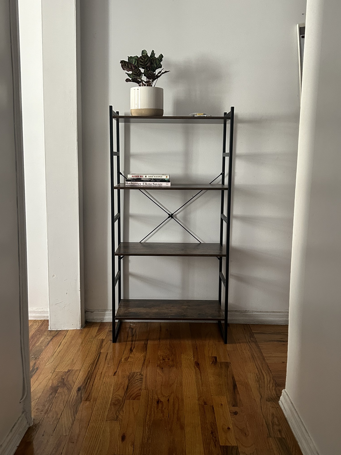 Medium Sized Bookshelf