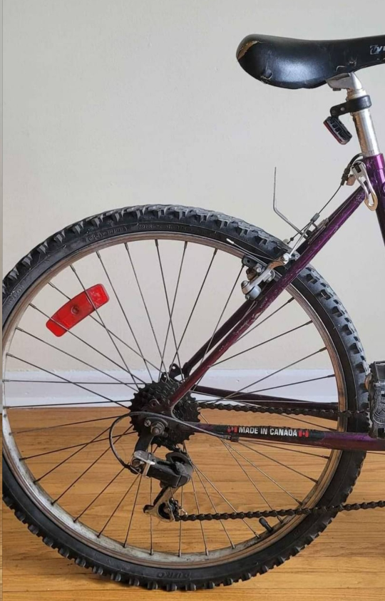 Raleigh M350 Bicycle image indicator(2)