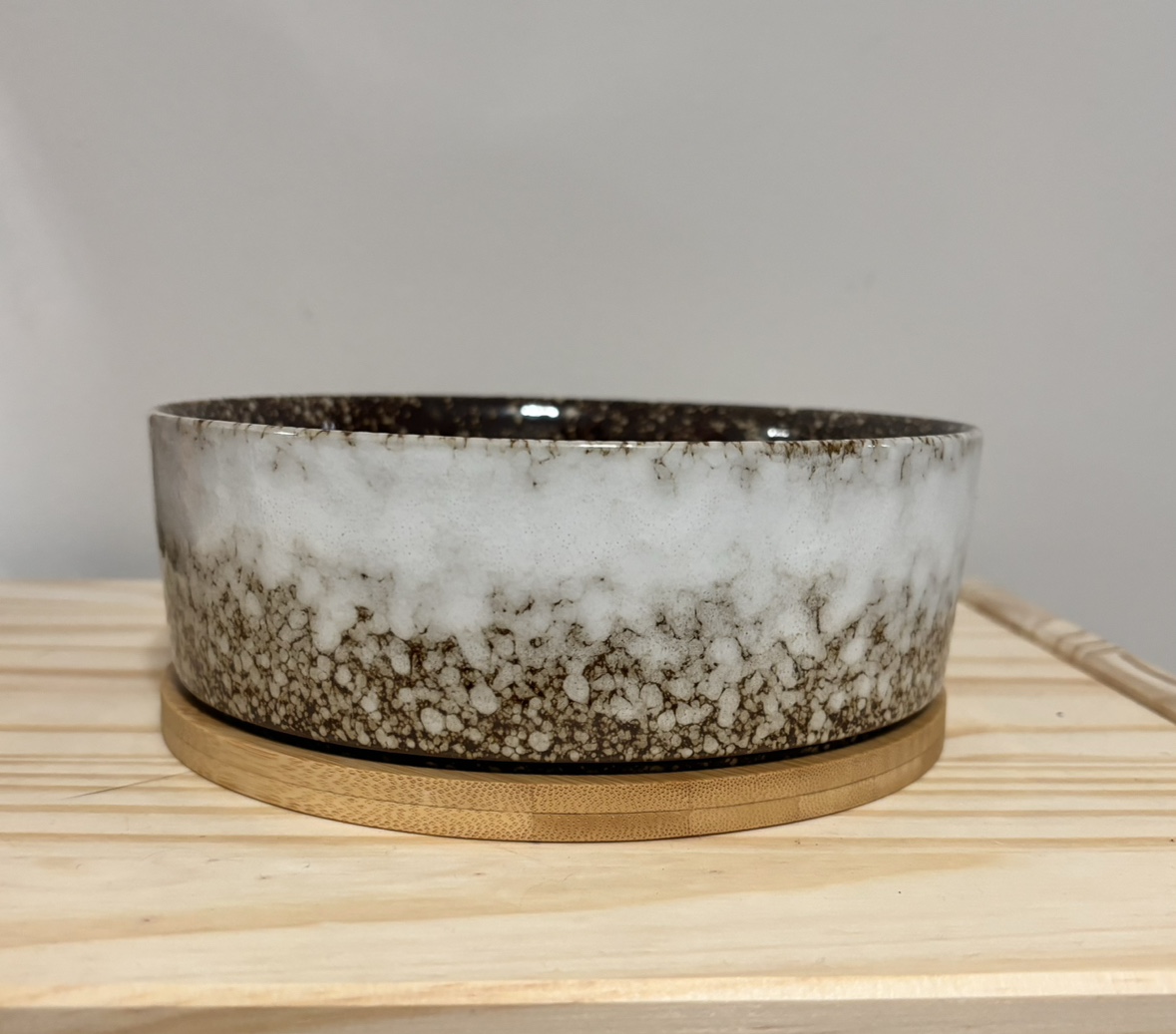 Succulent pot