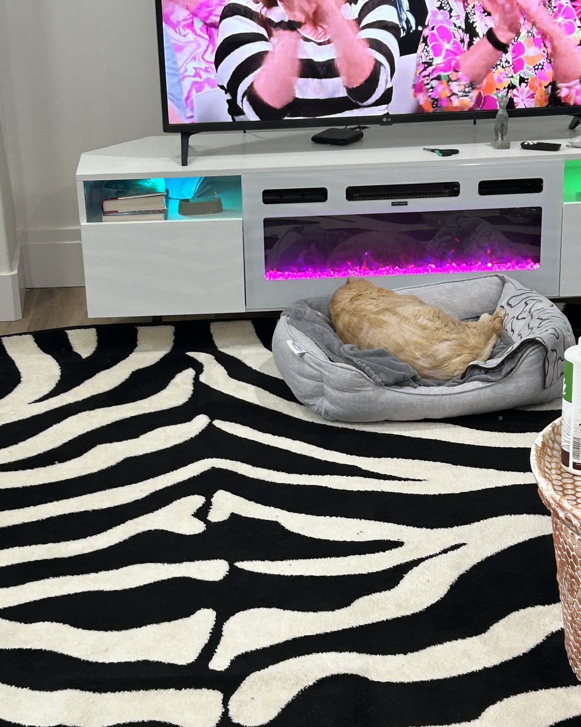 Area Rug 9ft by 12 ft