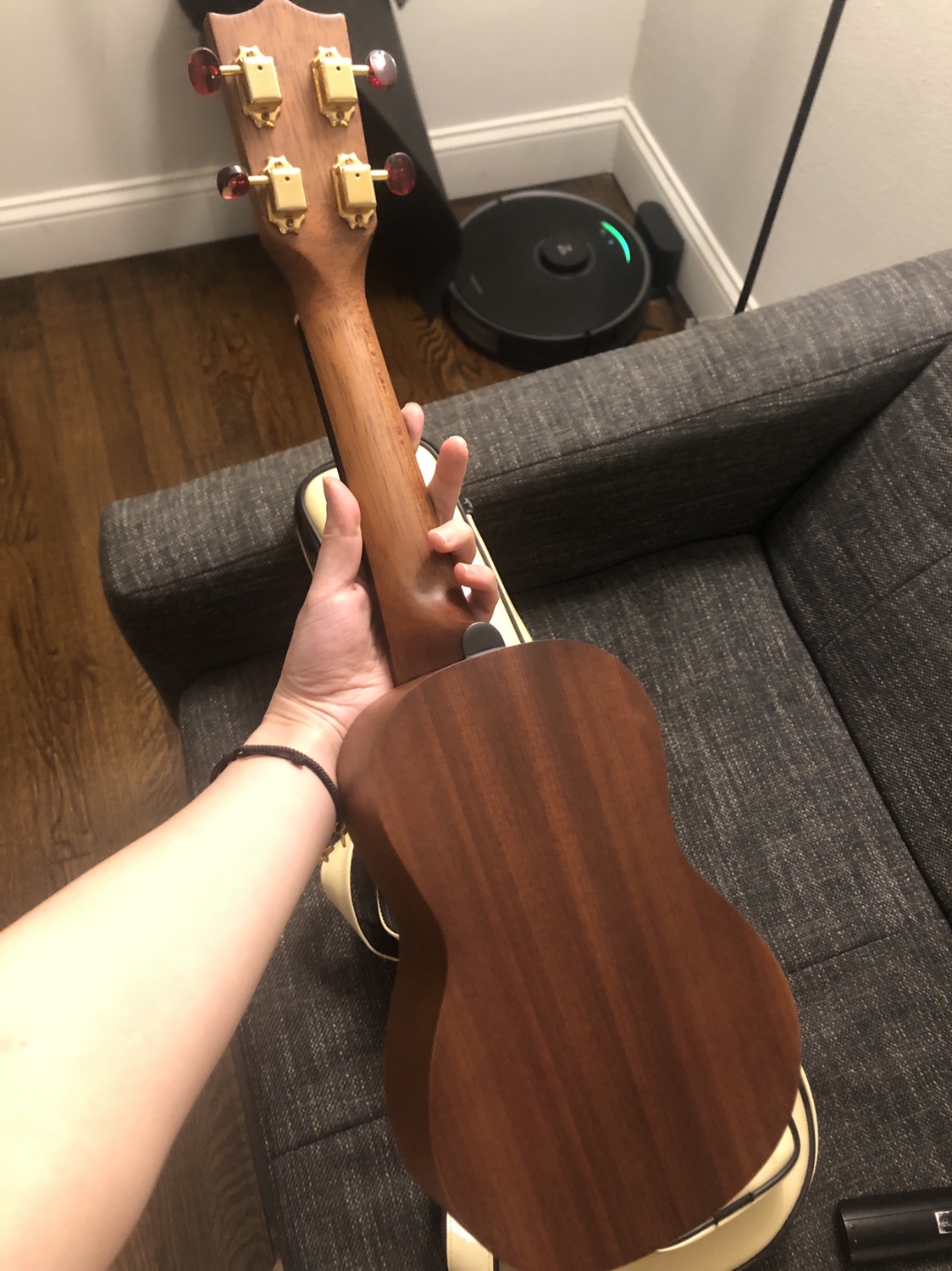Ukulele - photo 3