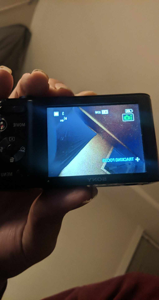 Sony digital camera - photo 3