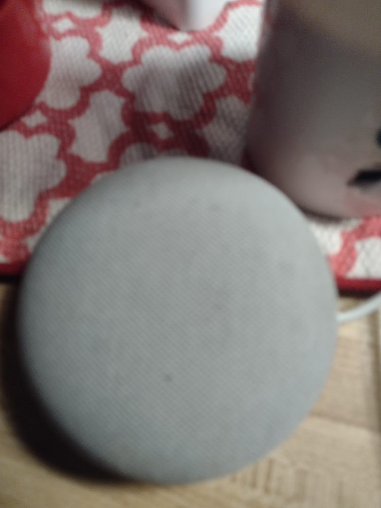 google home