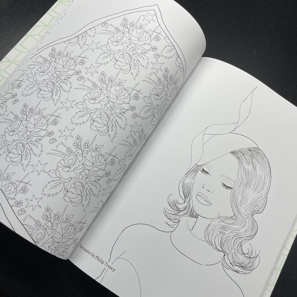 NEW Adult colouring book image indicator(4)