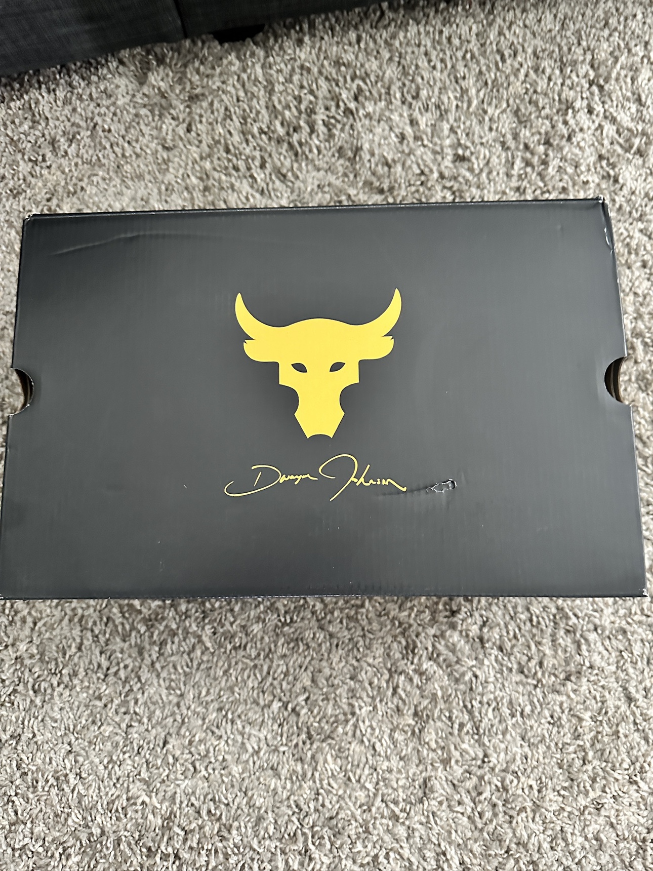 UA Project Rock 6 The Bull Gym Shoes - photo 2