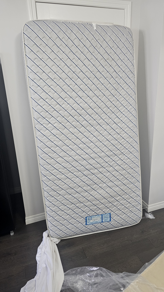 Single Mattress with Mattress Protector + Box Spring - photo 5
