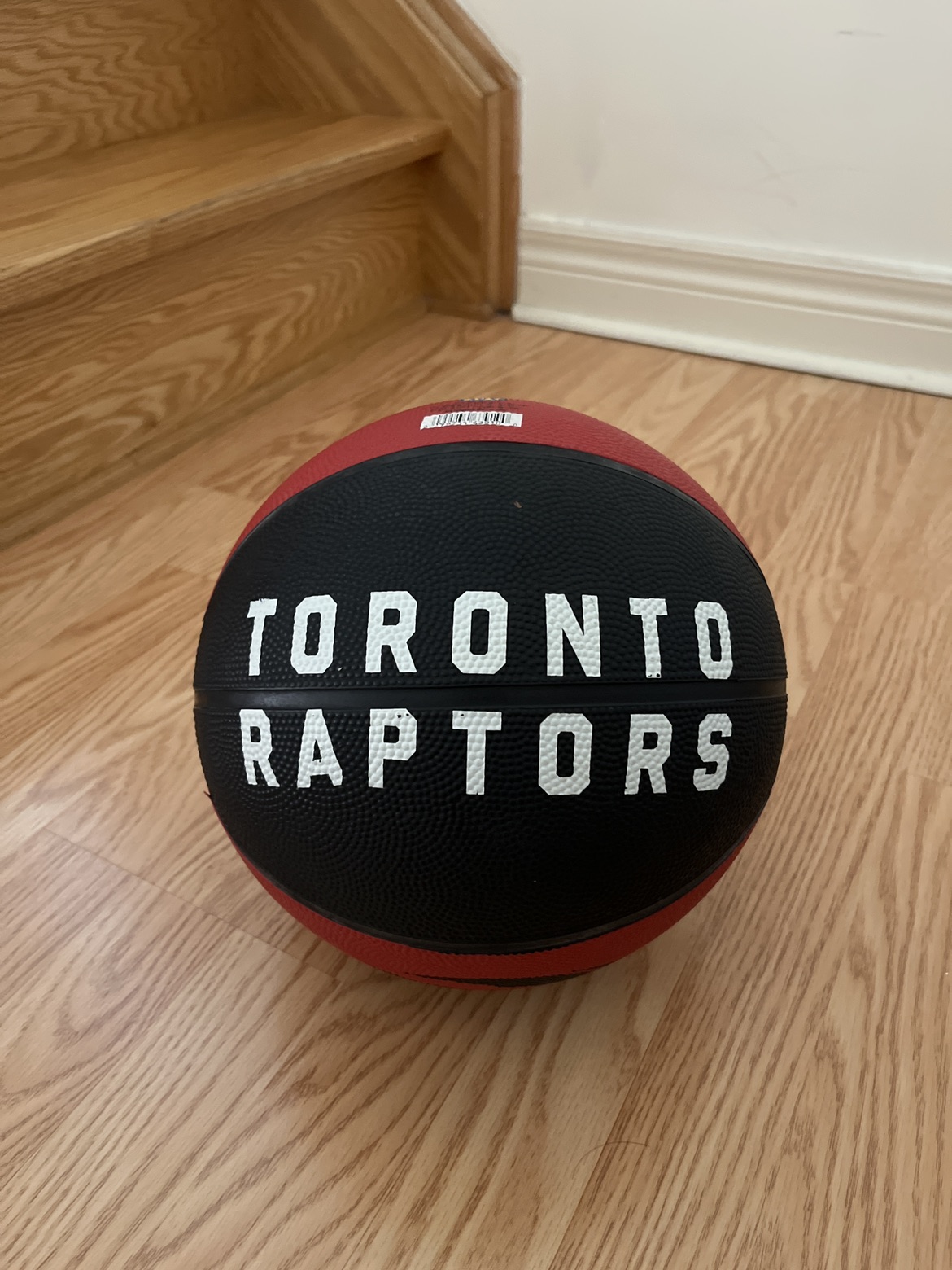 Toronto Raptors size 7 basketball image indicator(3)