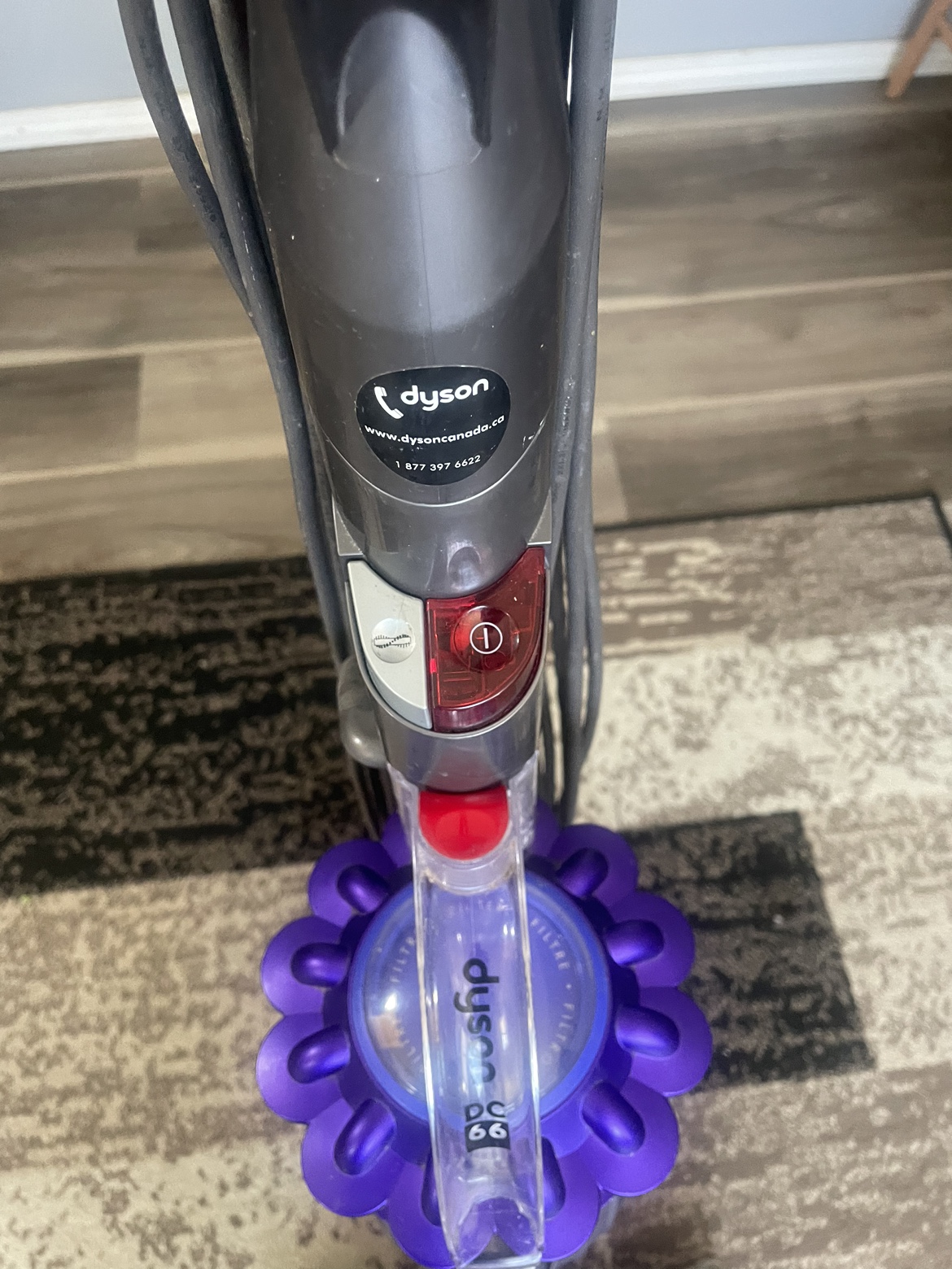 🧡Junior genius guides book 🧡 image indicator(9)