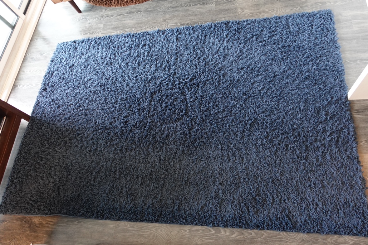 Blue Shag Rug- Moving Out Sale!