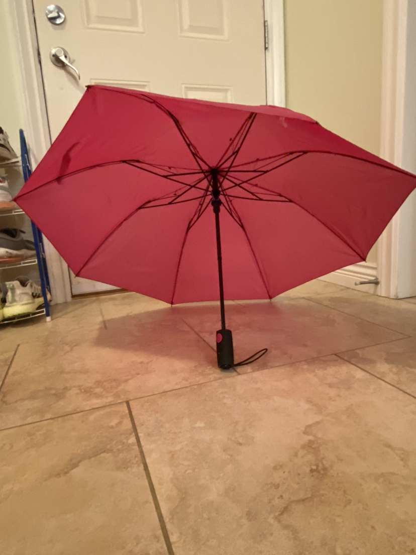 Pink Umbrella - photo 2