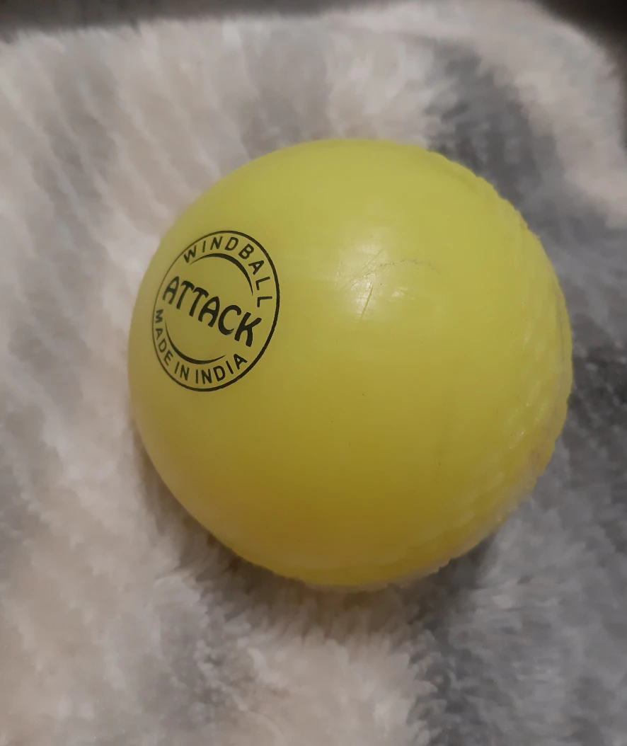Rubber cricket ball