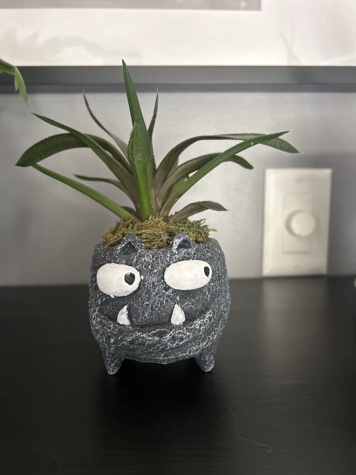 Plant #freecycle