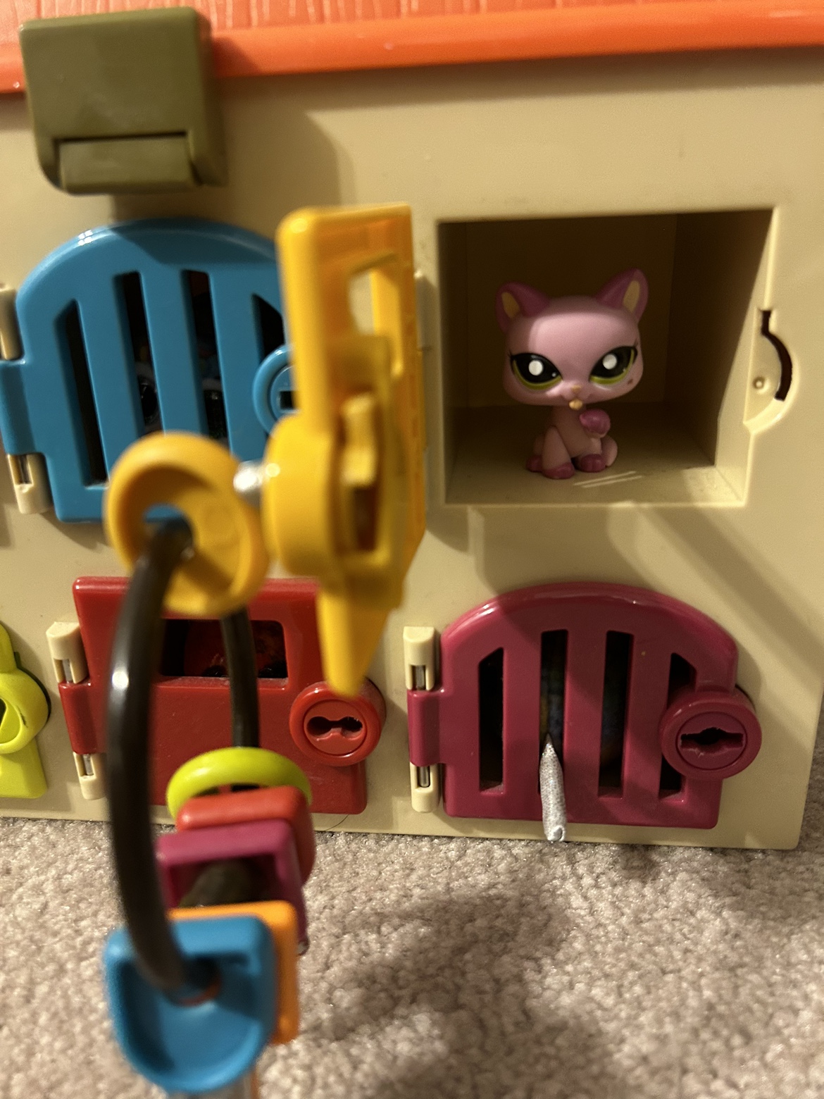 Critter clinic image indicator(3)