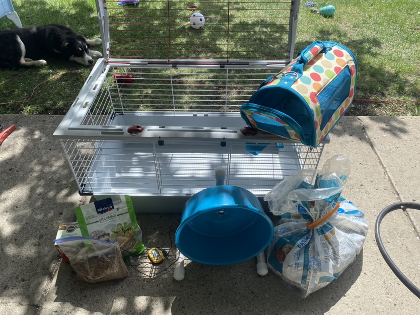 Critter cage