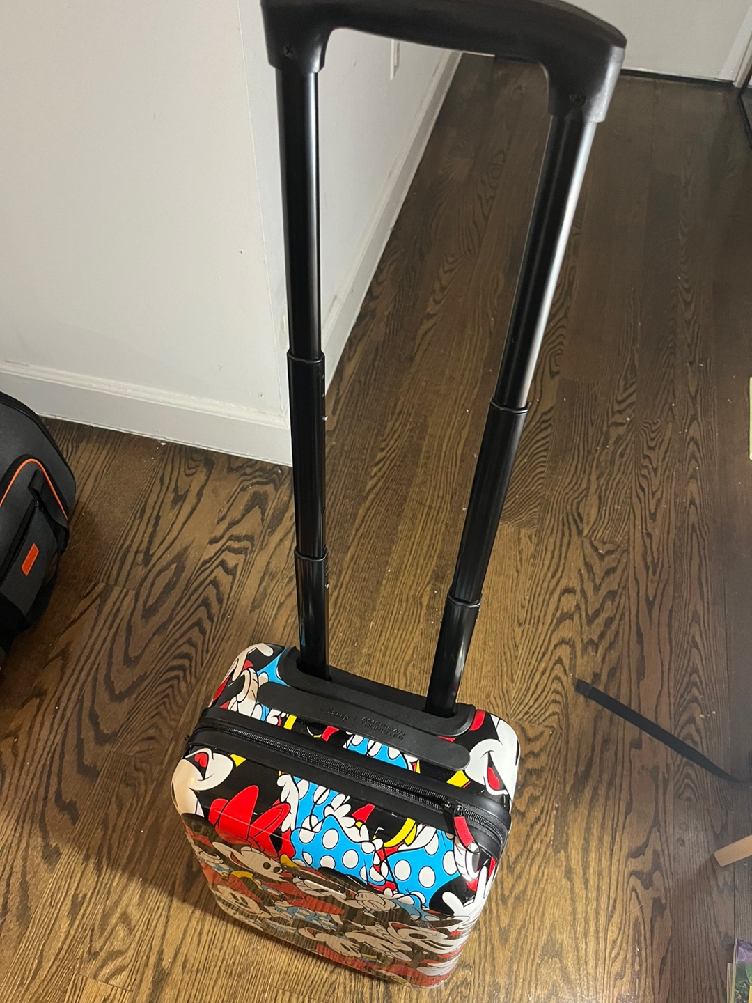 Minnie Mouse luggage - photo 2