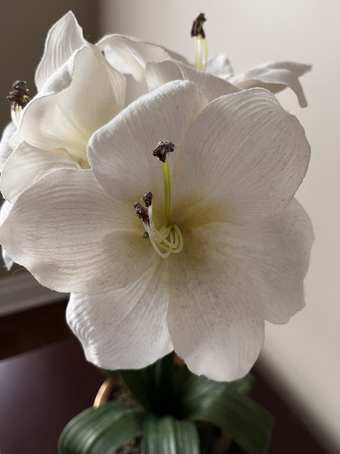 Artificial White Orchids thumbnail