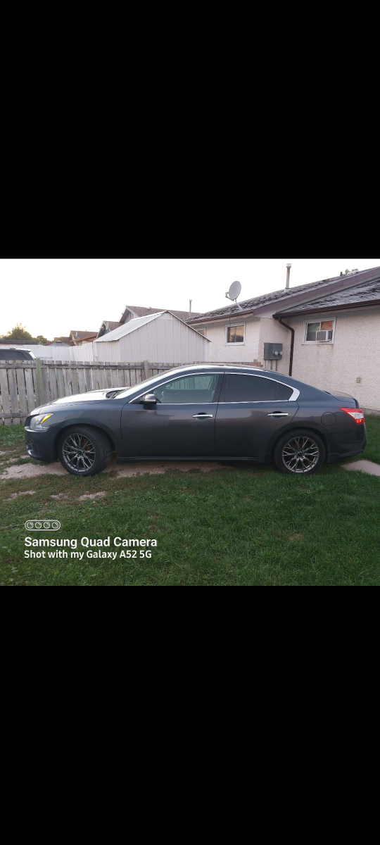 2010 Nissan maxima thumbnail