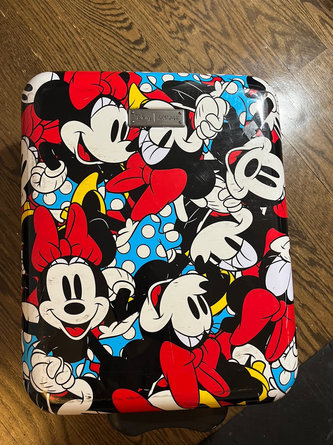 Minnie Mouse luggage
