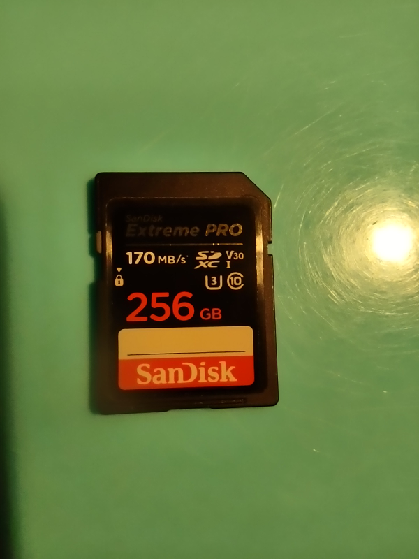 256 GB SD memory card thumbnail