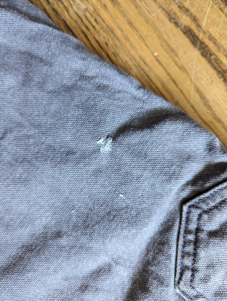 USED Dovetail Women's Workpants - photo 4
