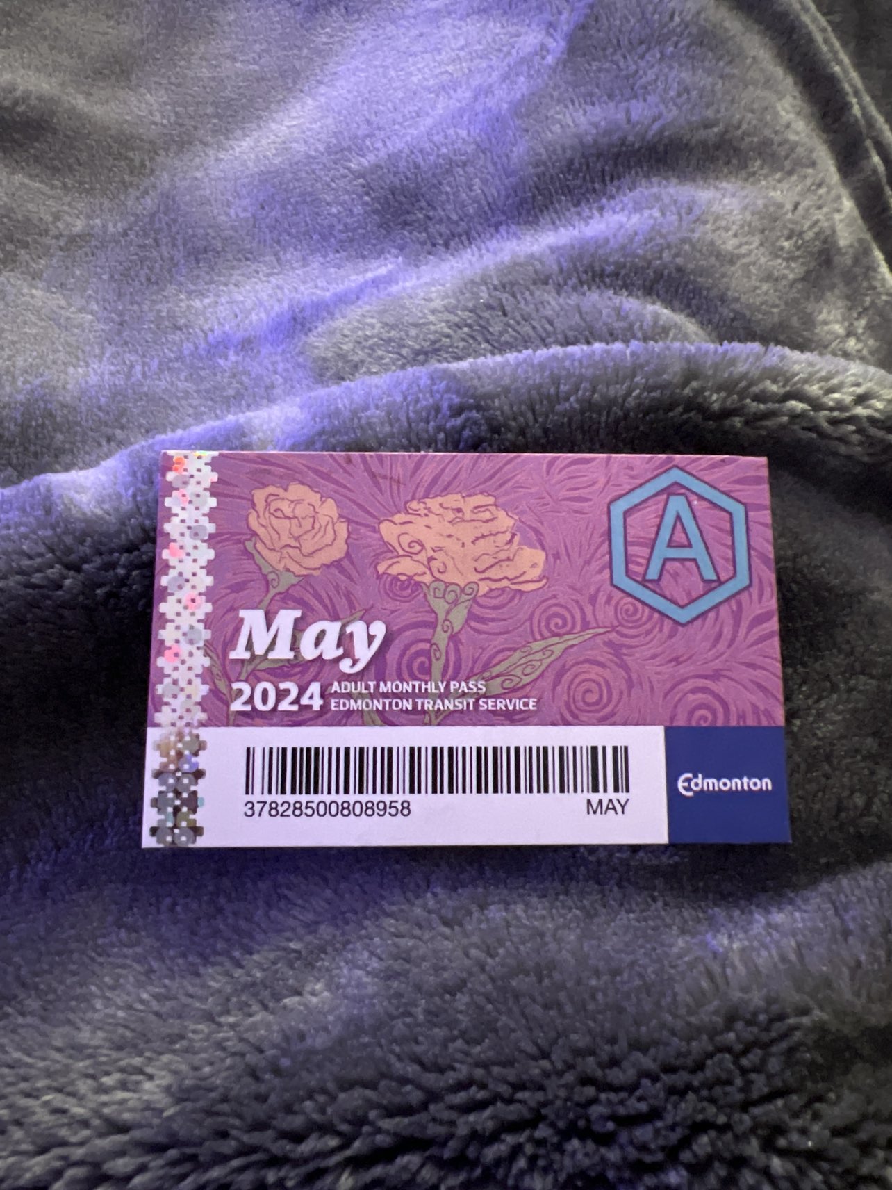 May bus pass
