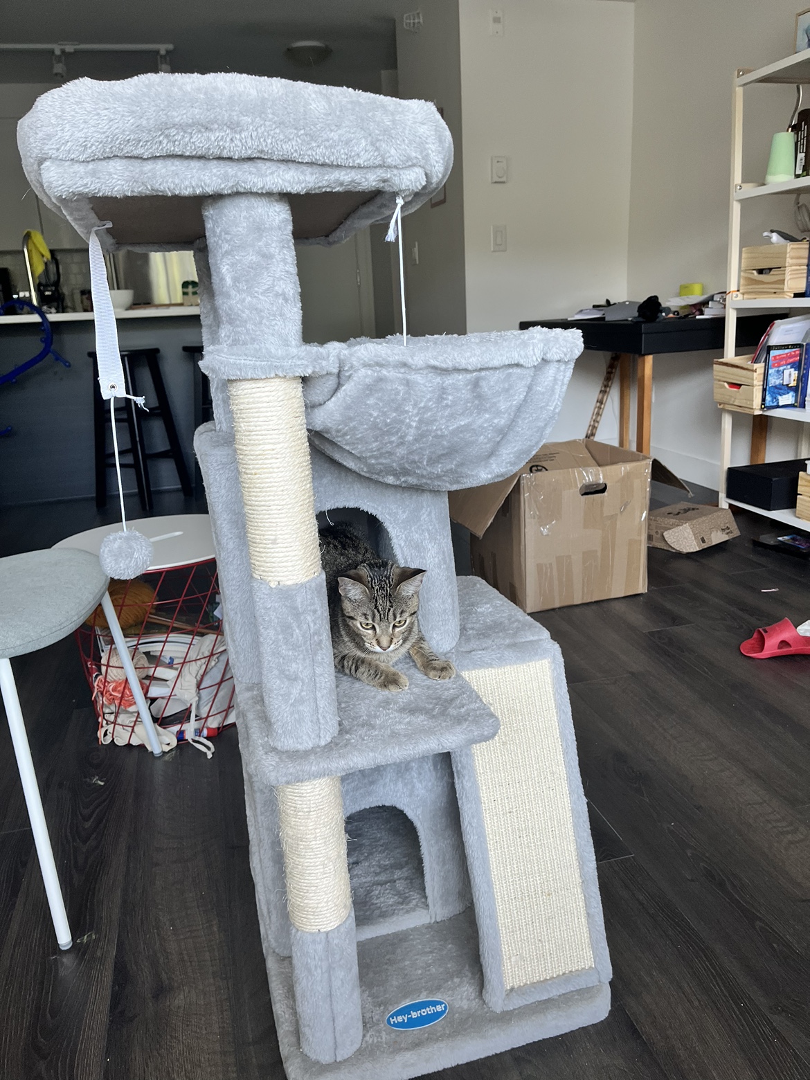 Cat tree image indicator(6)