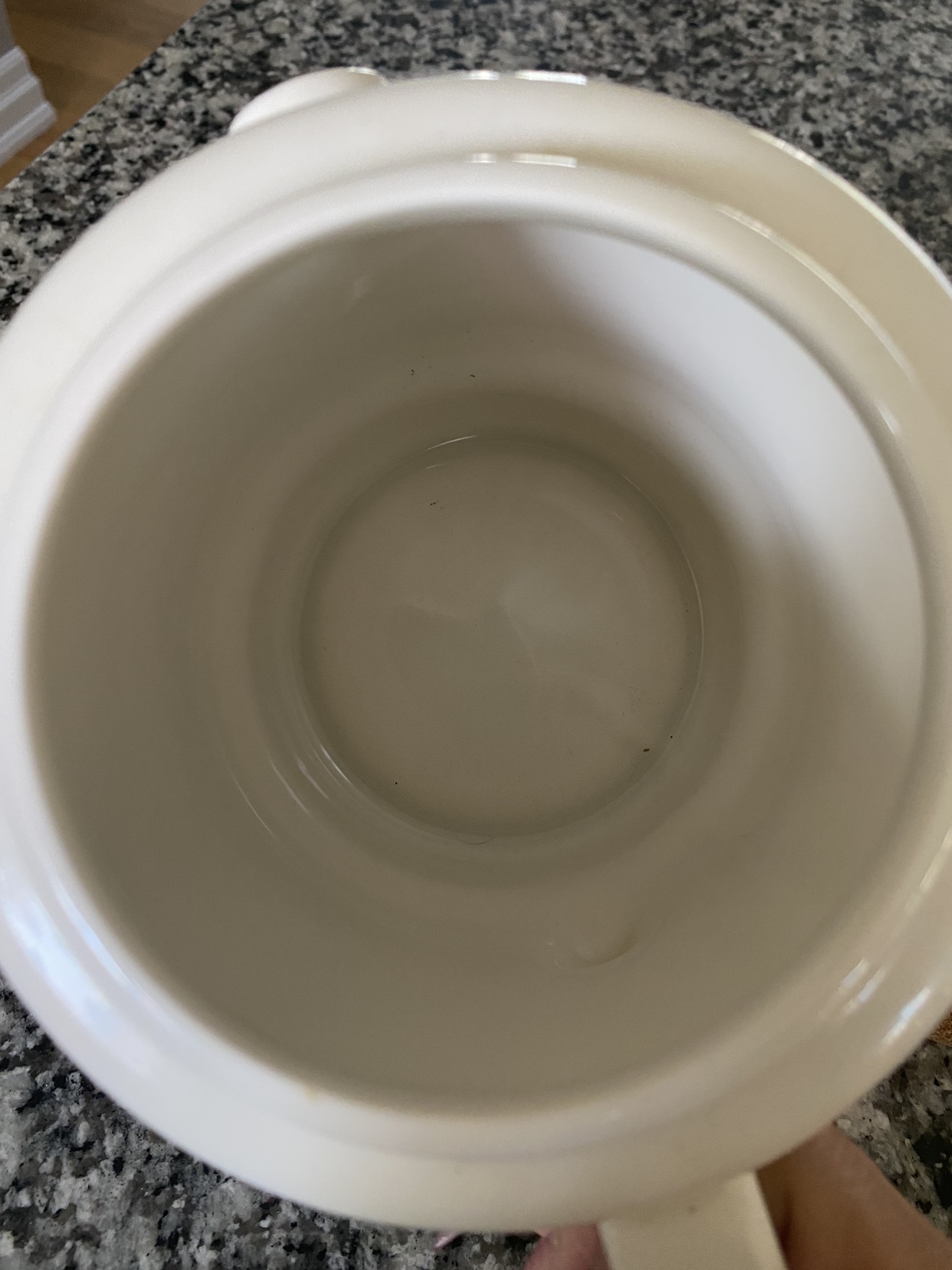 Ceramic Tea pot. image indicator(4)