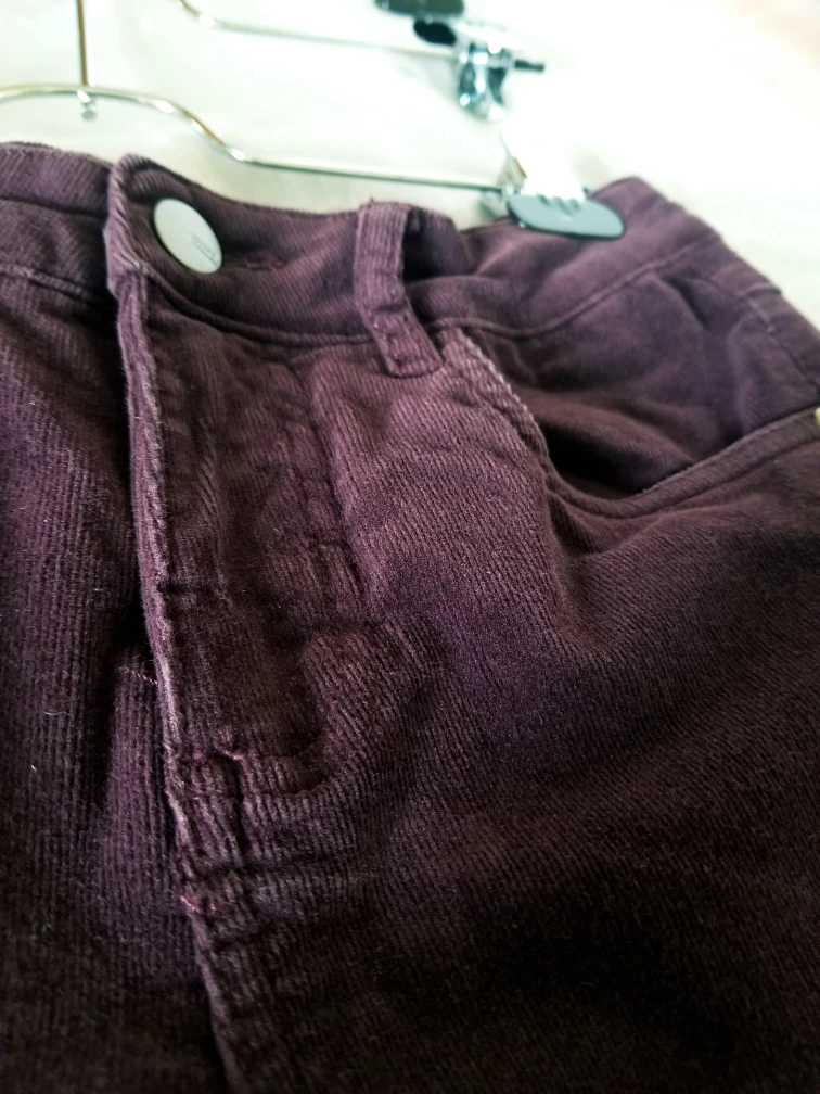 Dark Mauve Thin Corduroy Slim Fit Pants image indicator(6)