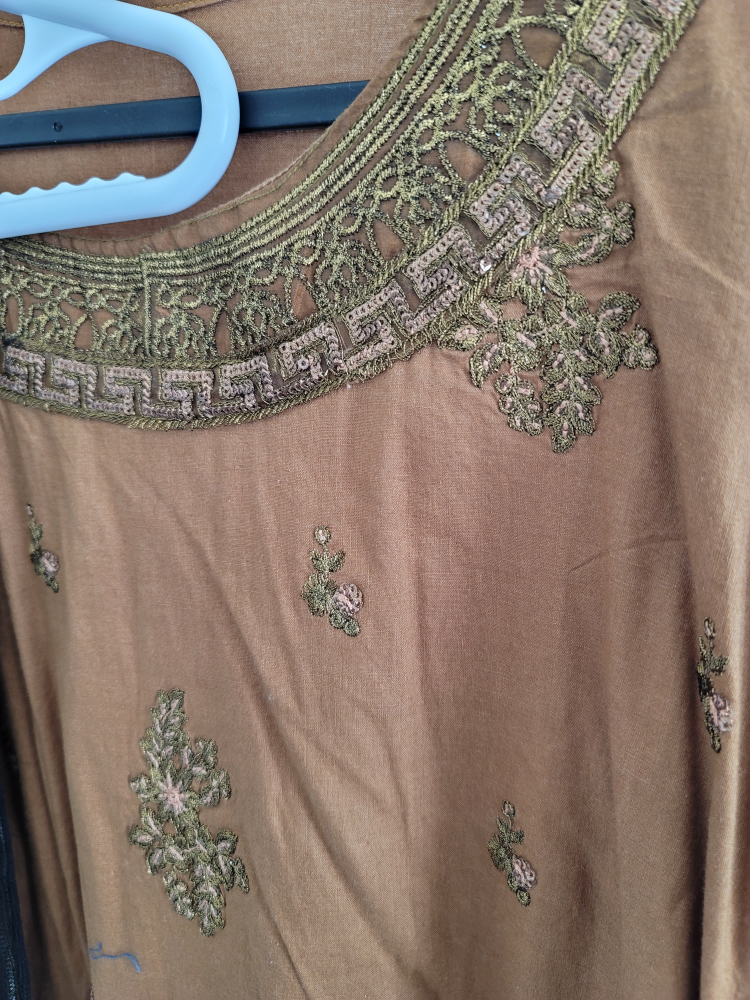 pakistani women dress - photo 3