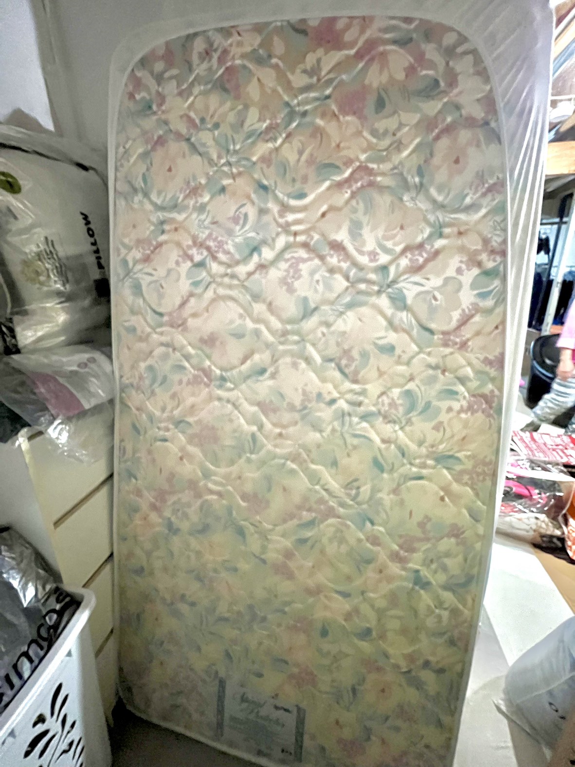 FREE Twin Mattress