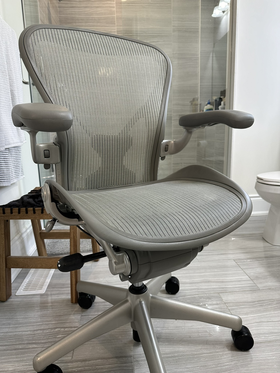 Herman Miller Aeron Classic Size B Office Chair