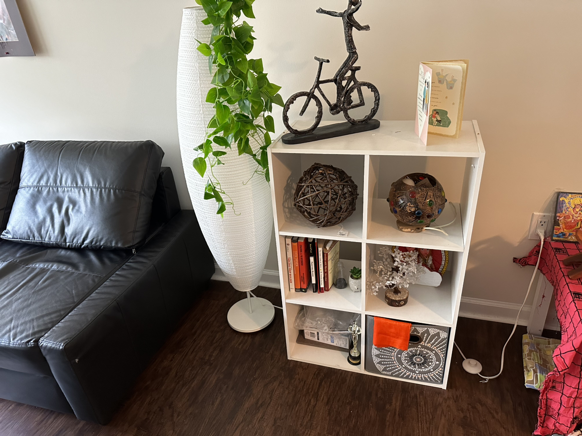 Storage cube organizer