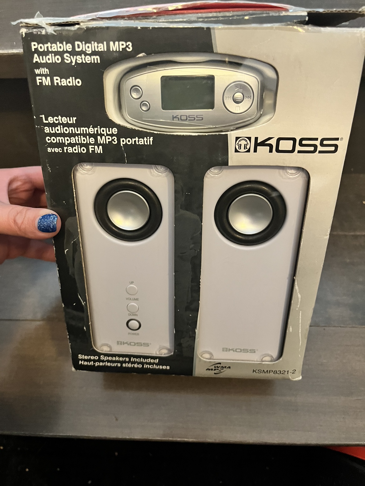 Portable MP3 System