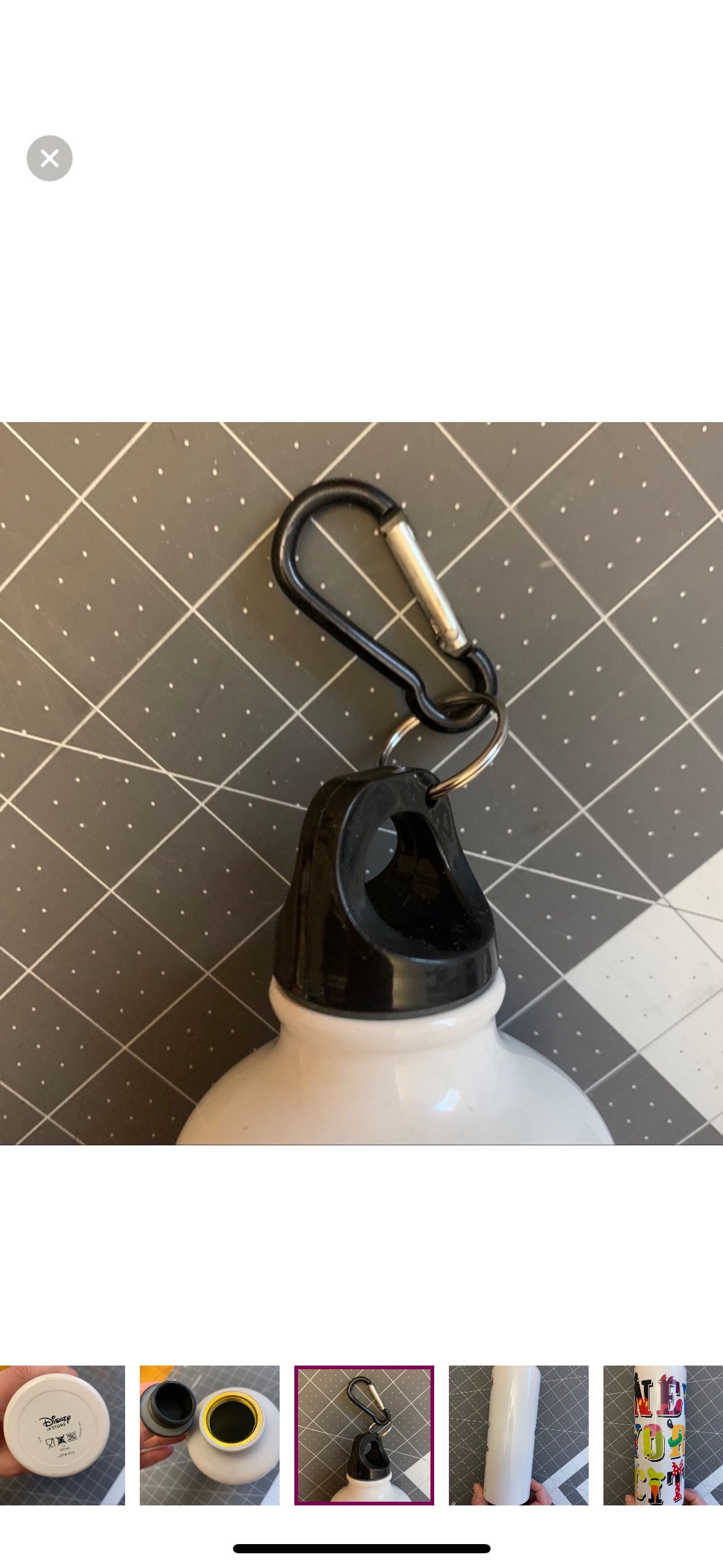 Disney New York City steel thermos image indicator(4)