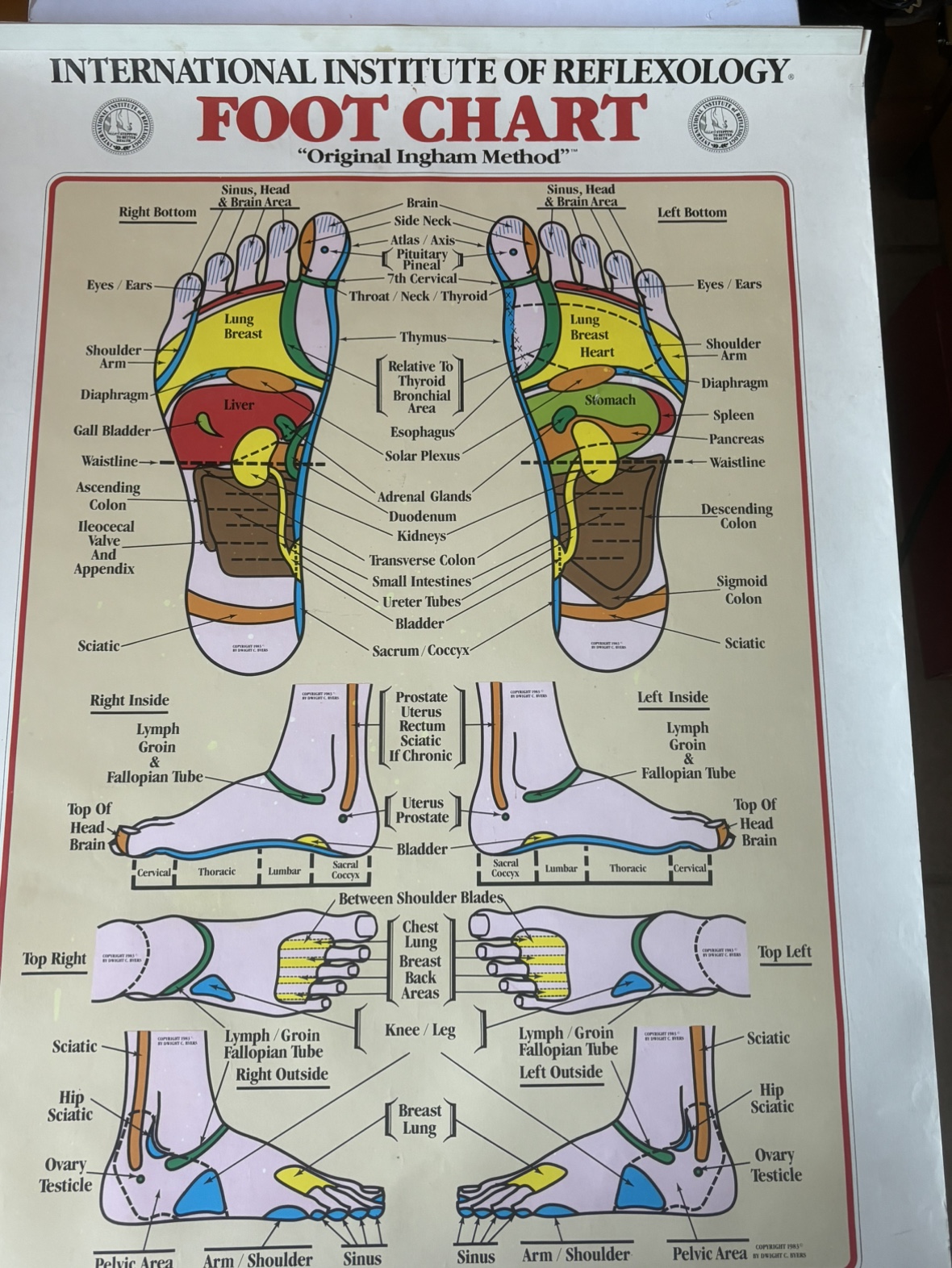 2 Reflexology Chart: Hand- Foot - photo 3