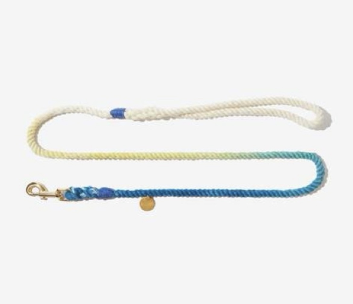 ✨✨Found My Animal 4’ Ombré Dog Leash image indicator(2)
