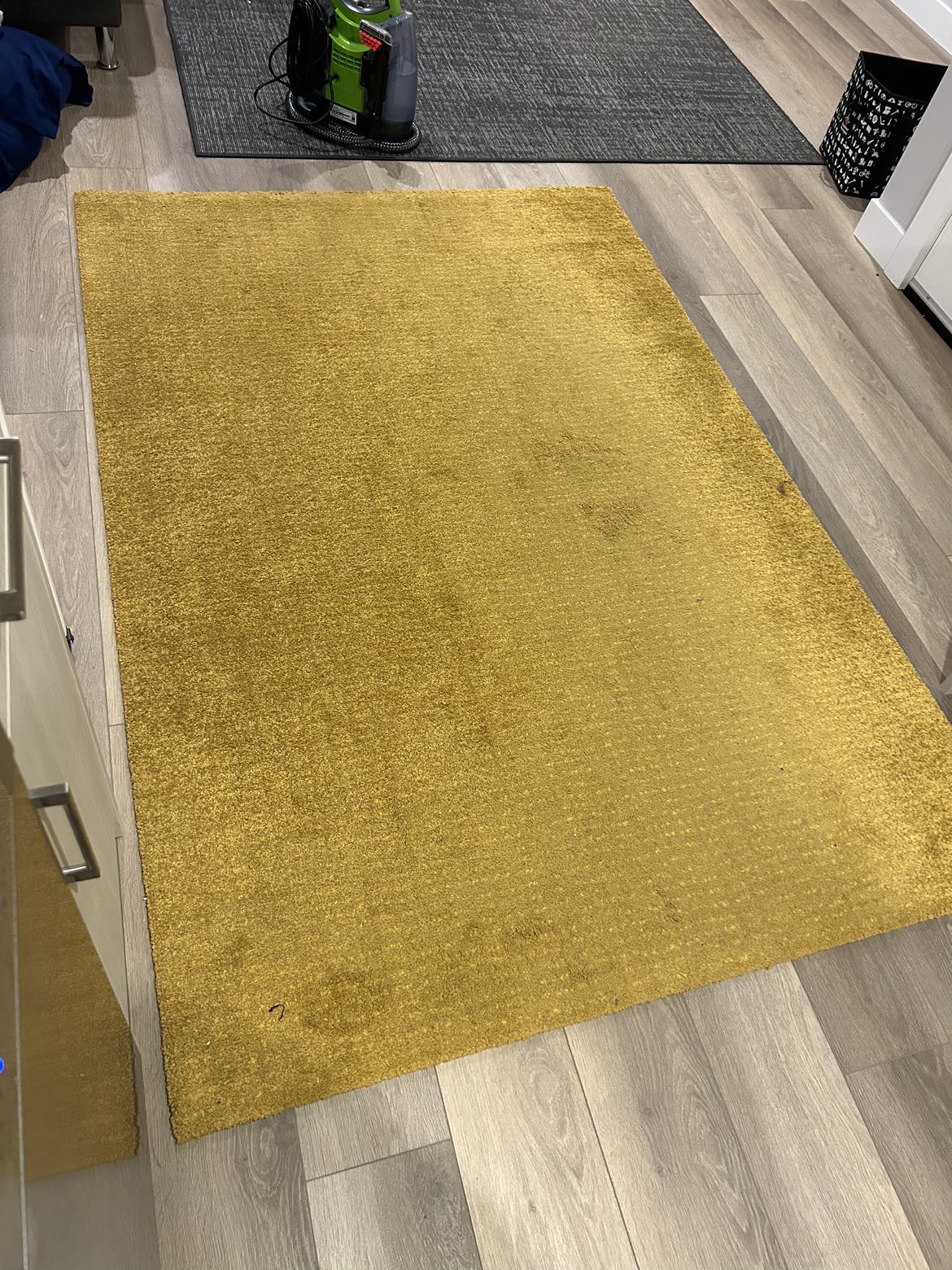 4’4” x 6’5” IKEA Langsted area rug