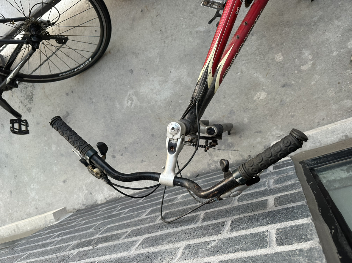 Schwinn Mesa GS Aluminum Bike frame - photo 2