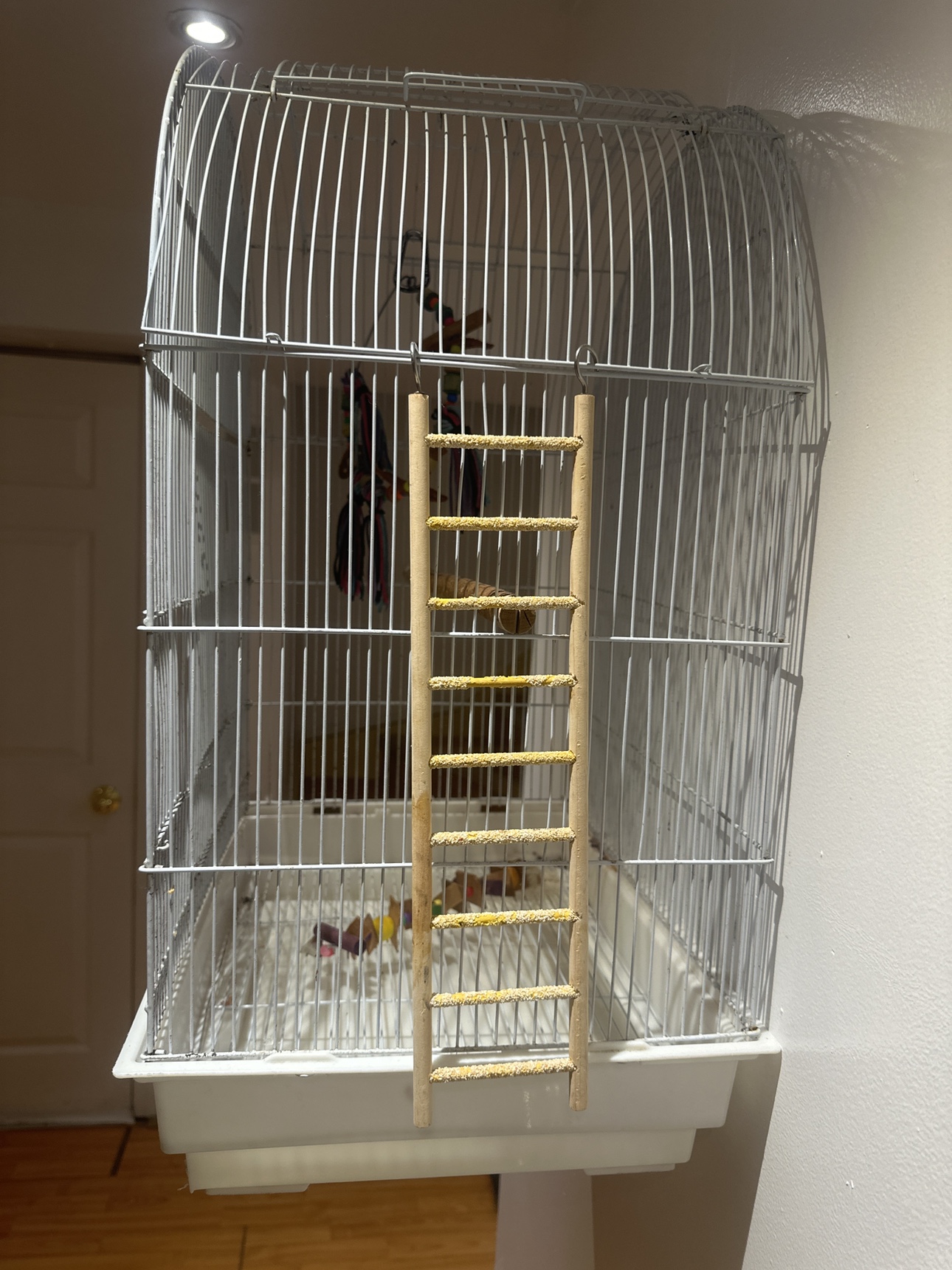 Bird Cage - photo 2