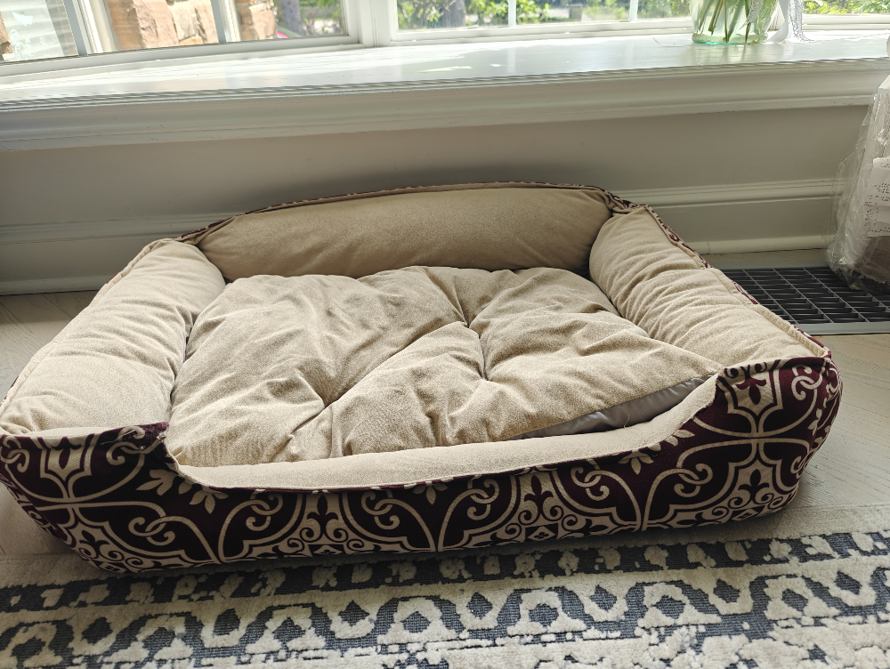 dog bed