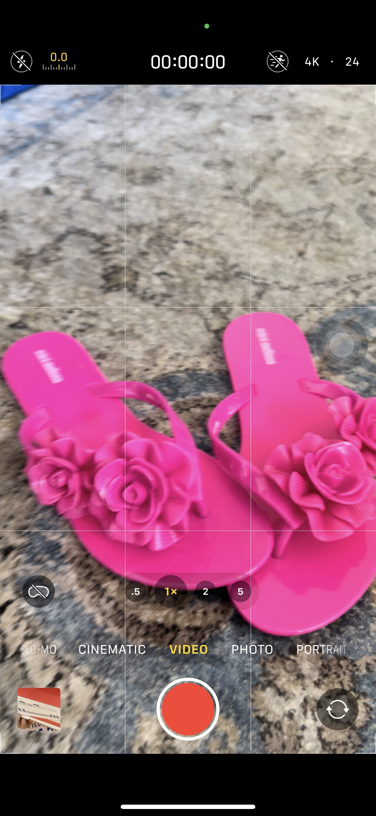 Mini melissa thumbnail