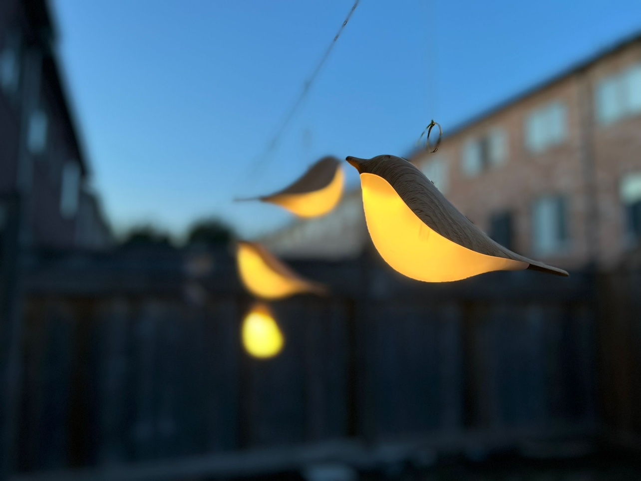 cute bird light image indicator(3)