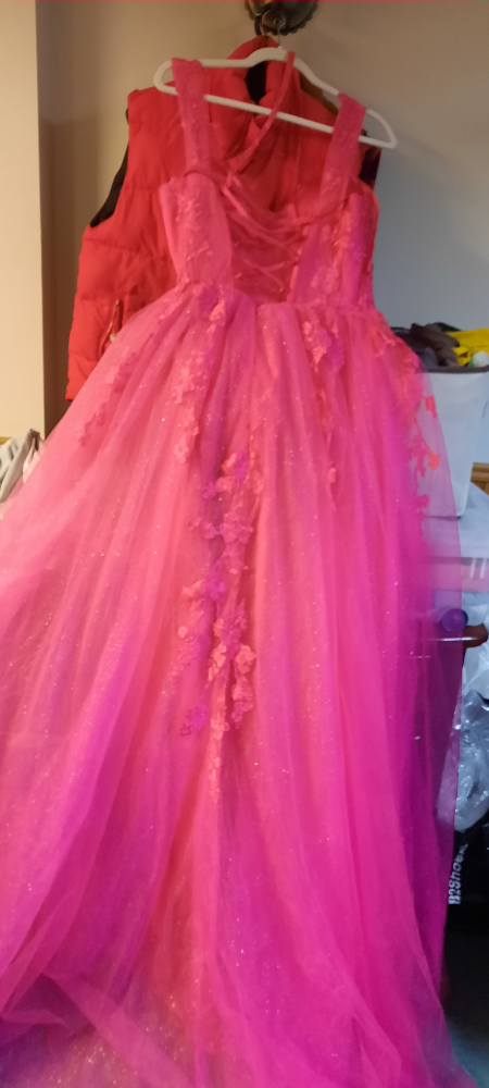 prom dress or sweet sixteen - photo 2