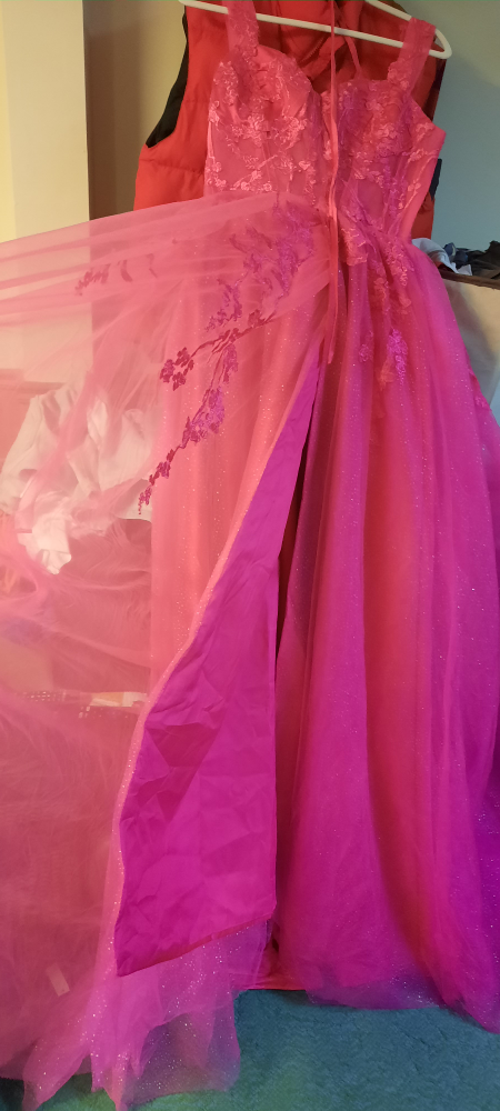 prom dress or sweet sixteen - photo 5