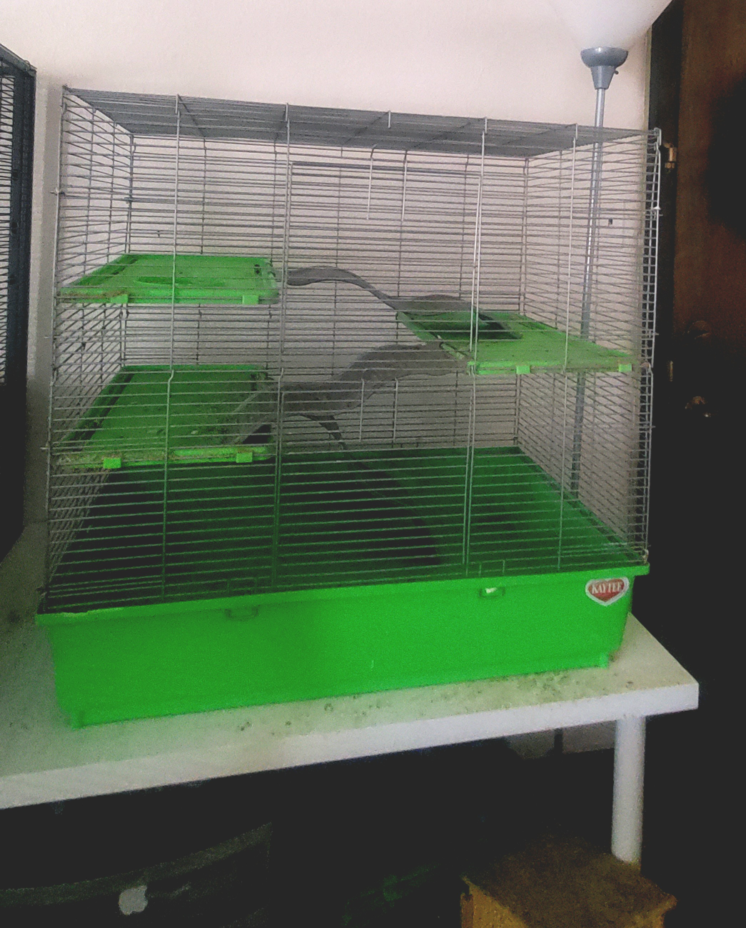 small animal cage