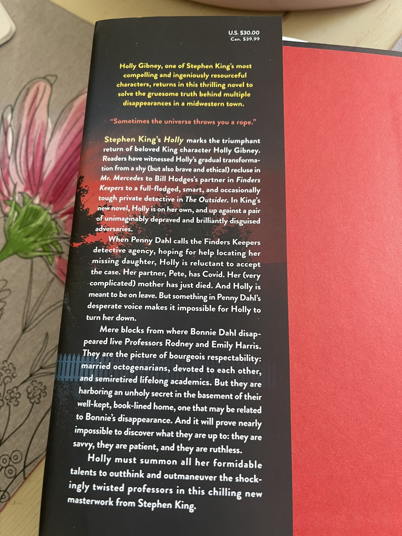 Two Stephen King Books image indicator(2)