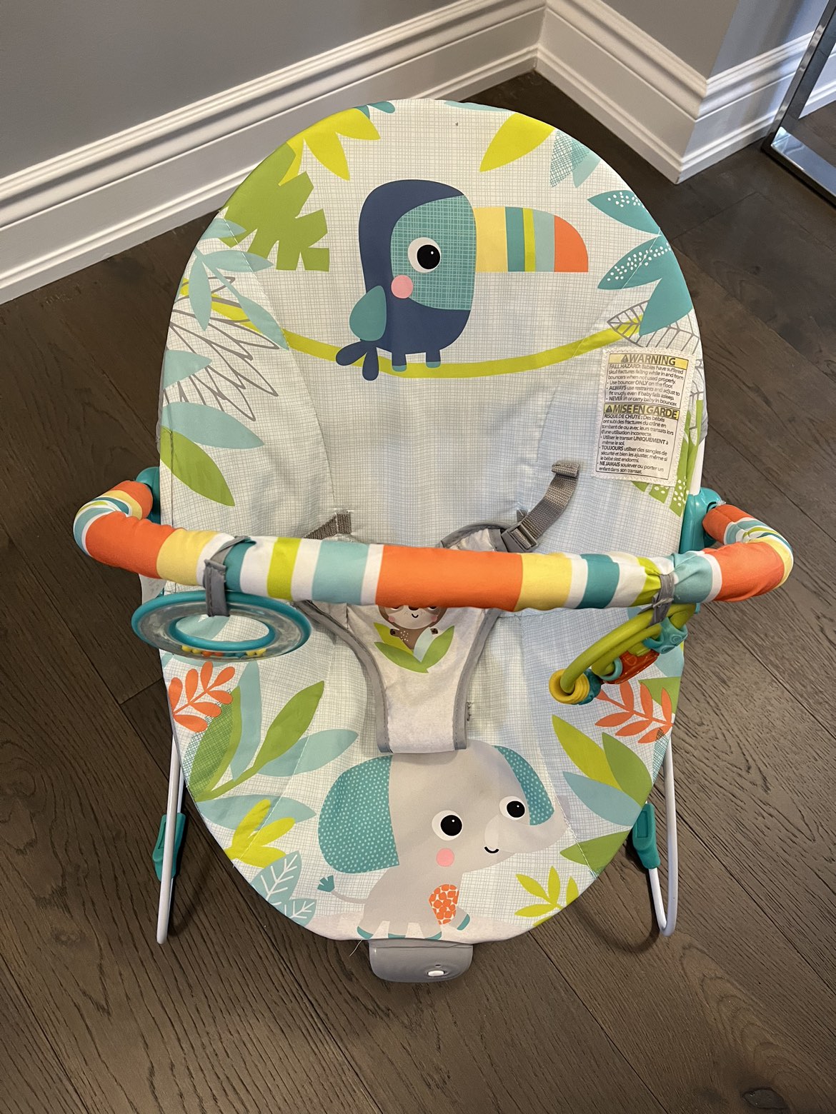 Baby bouncer brand new (no box) Ret $98 image indicator(2)