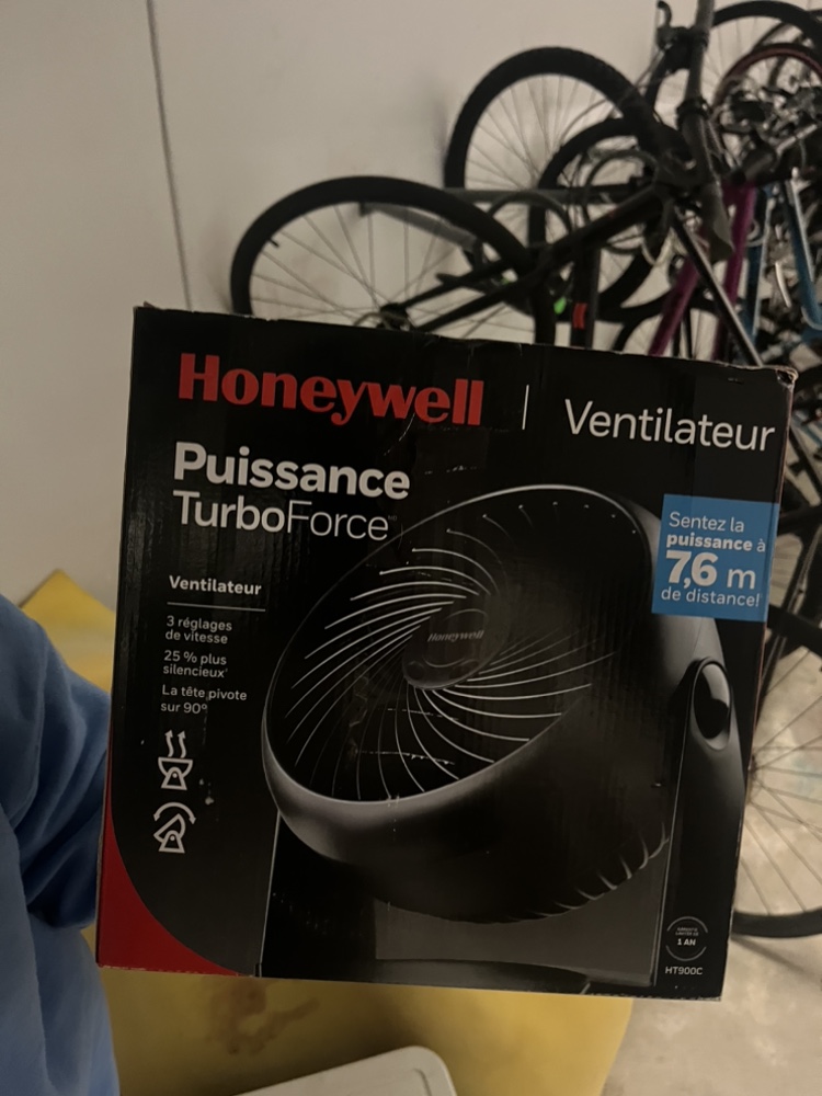 Fan