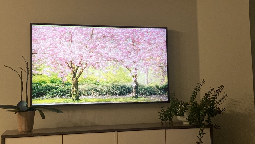 Samsung Frame TV - 4K - 50"
